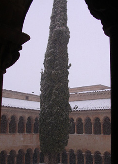 Invierno-04
